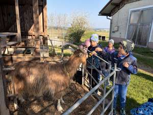 Kinder streicheln eine Ziege