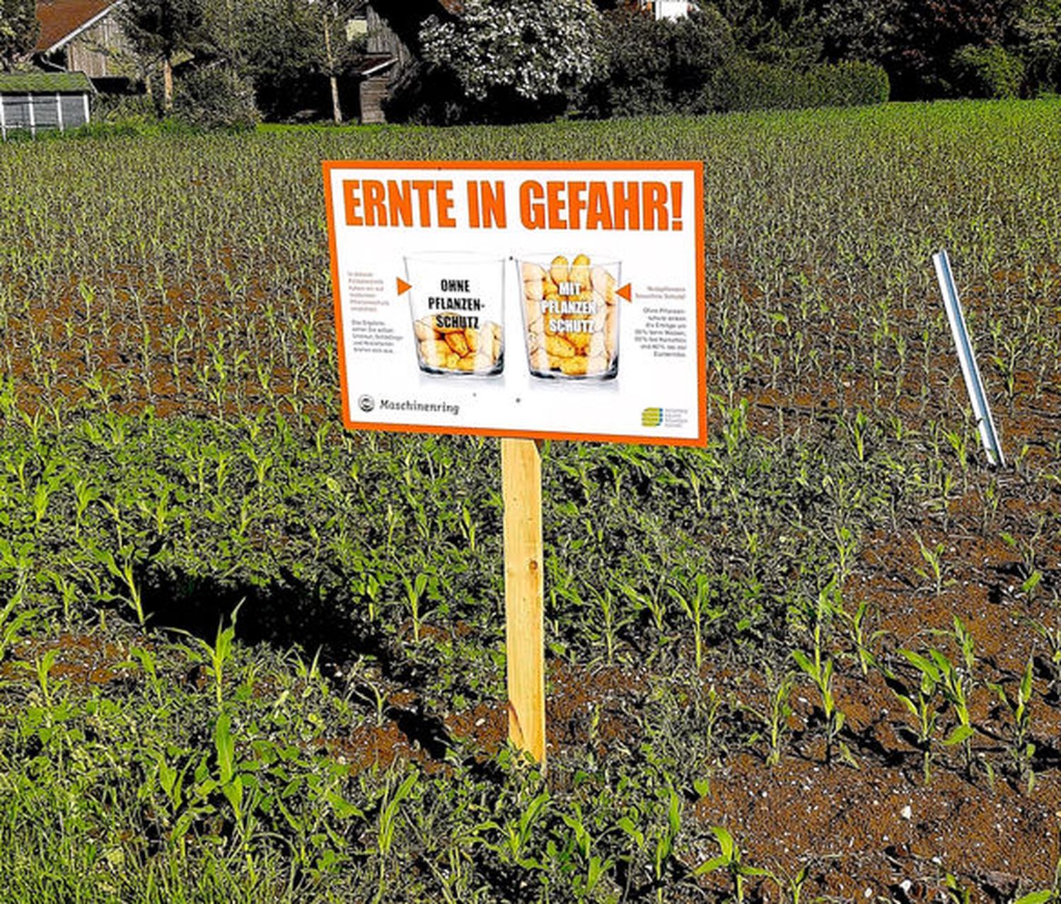 200525 Web SchauFelder Parzelle