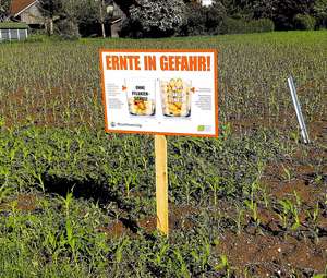 200525 Web SchauFelder Parzelle