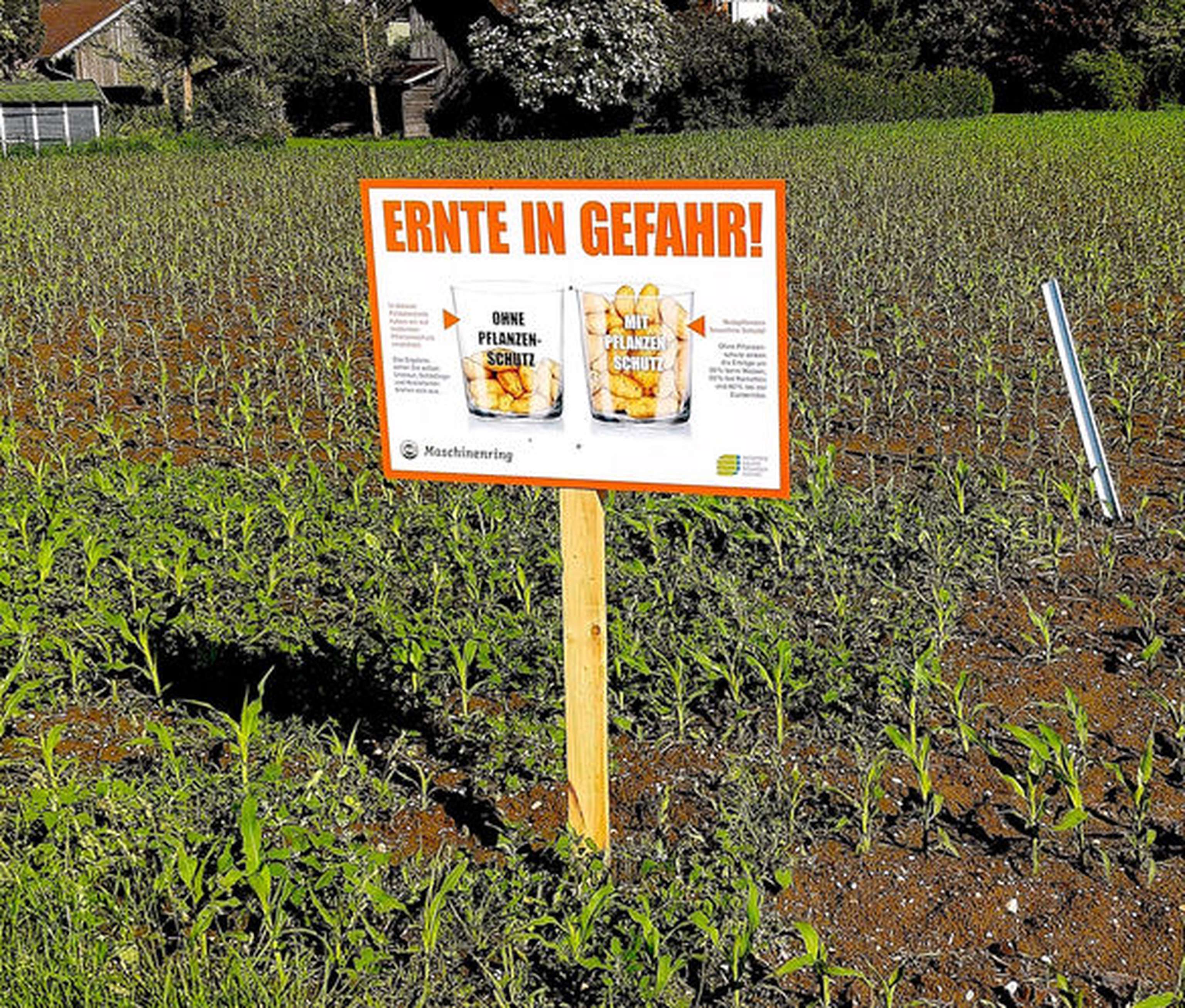 200525 Web SchauFelder Parzelle