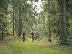 Zwei Mountainbiker fahren durch den Wald