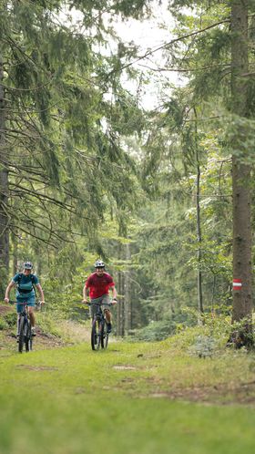 Zwei Mountainbiker fahren durch den Wald