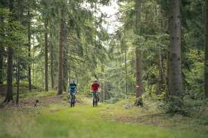 Zwei Mountainbiker fahren durch den Wald