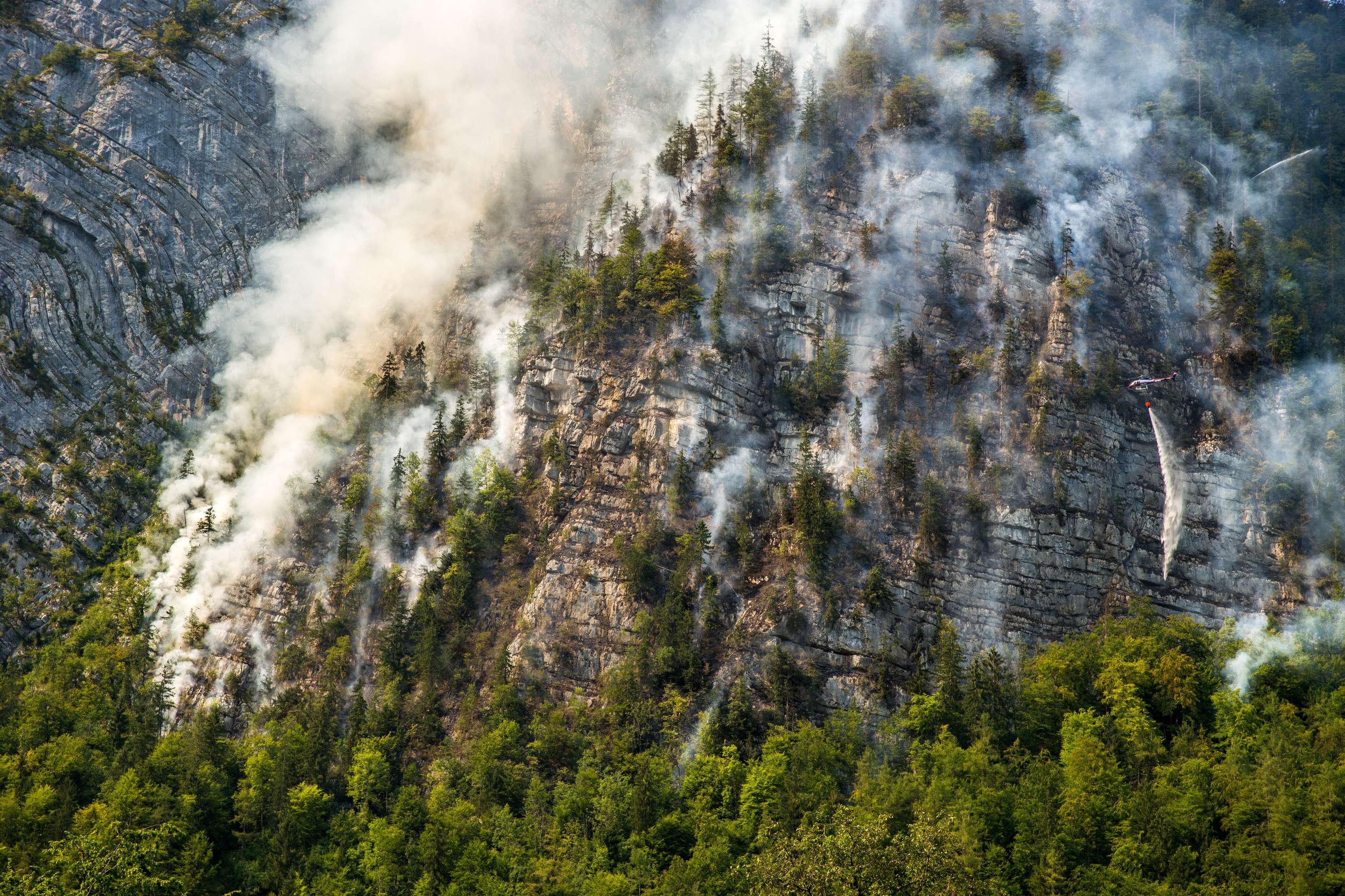 Waldbrand