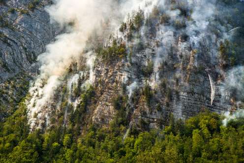 Waldbrand