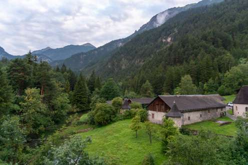 Wald