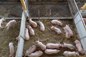 2350 06 Hagmueller05