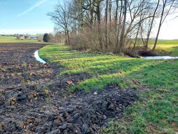 Entlang von Gewässern ist ein mindestens drei Meter breiter Pufferstreifen anzulgen, der ganzjährig bewachsen sein muss.