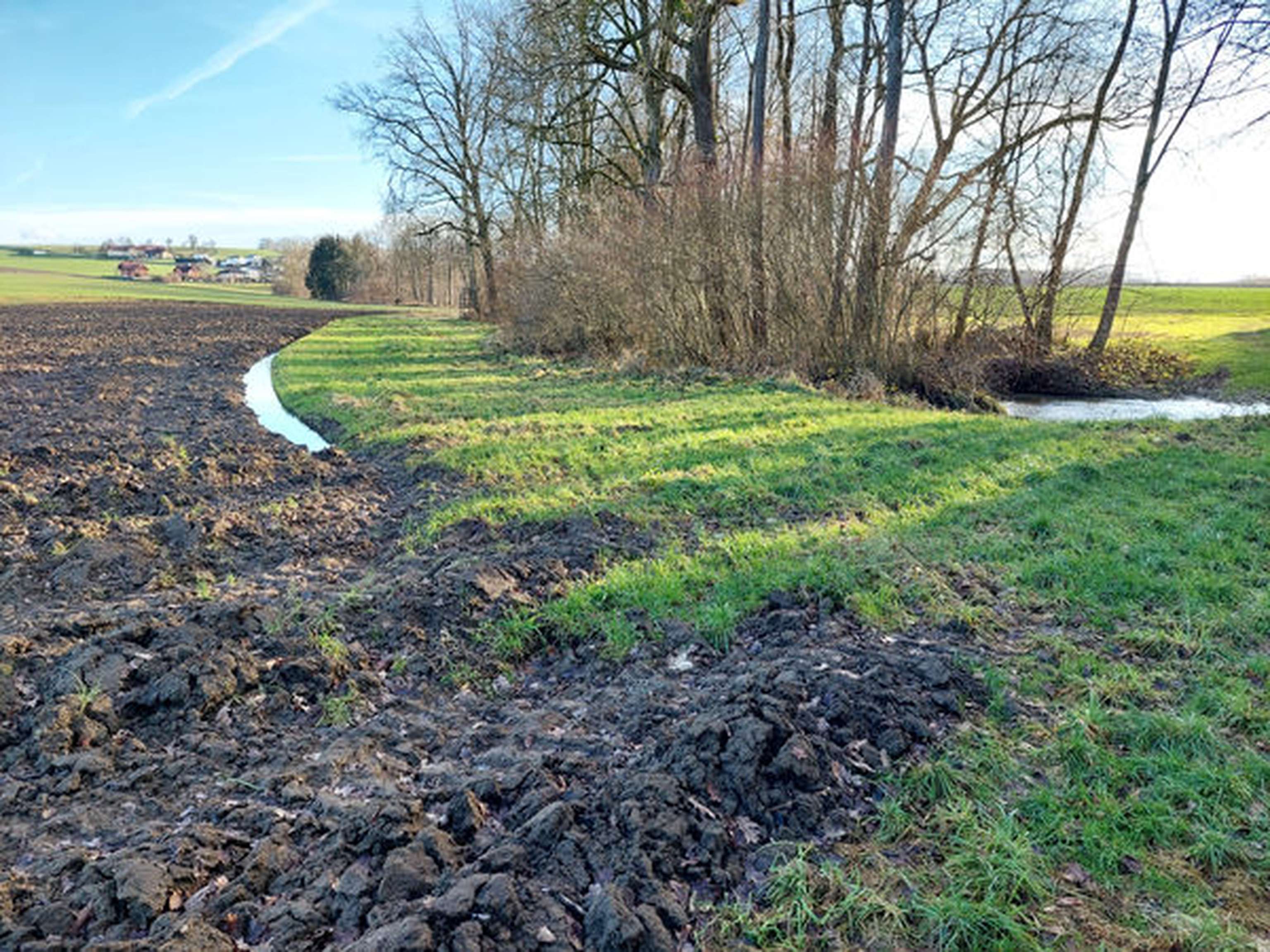 Entlang von Gewässern ist ein mindestens drei Meter breiter Pufferstreifen anzulgen, der ganzjährig bewachsen sein muss.