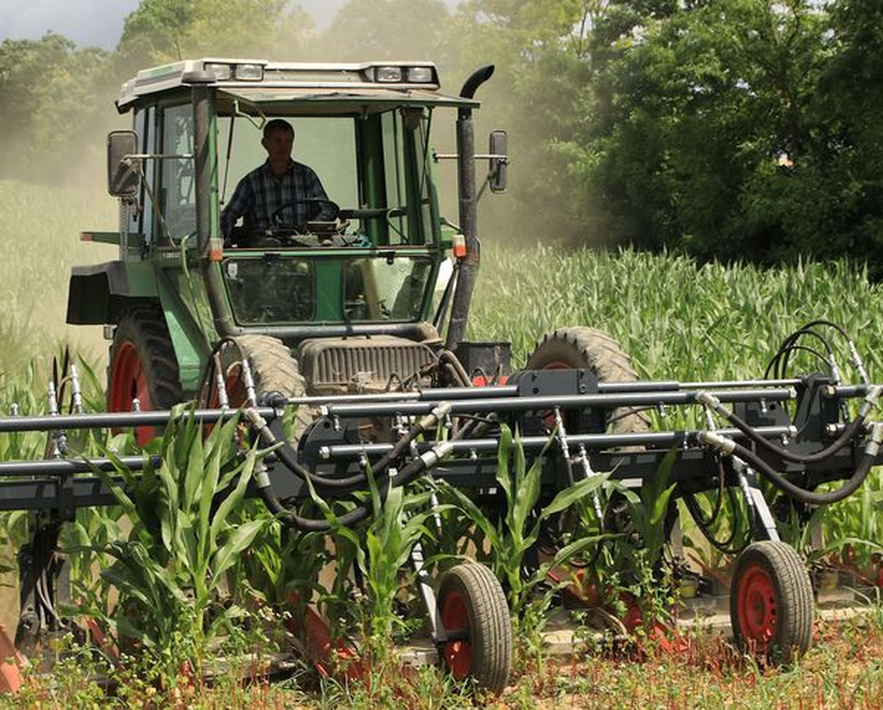 2322 W02 Mais HochIMG 5821.2