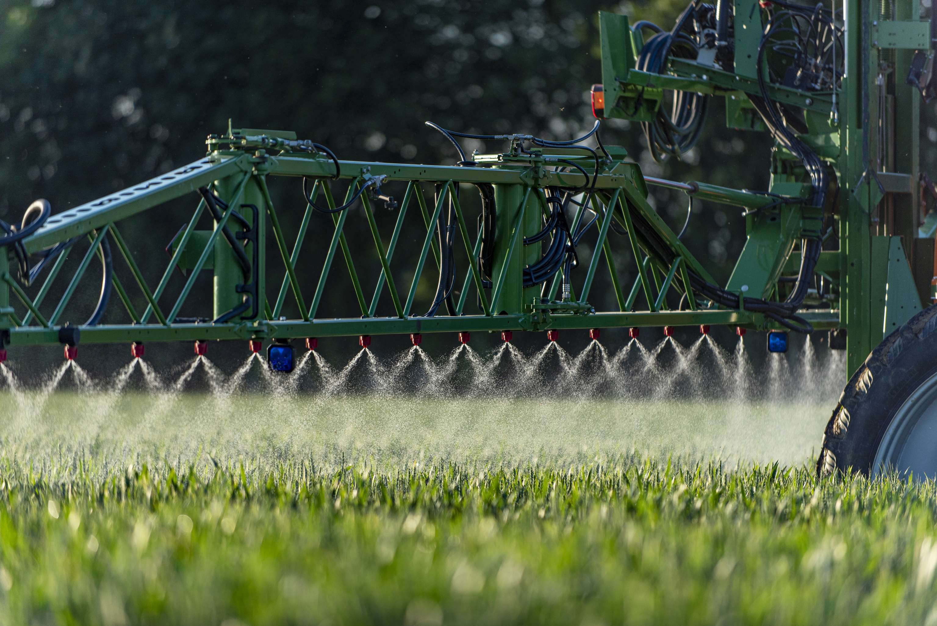 WW Fungizid Abendstunden 19 ID91230