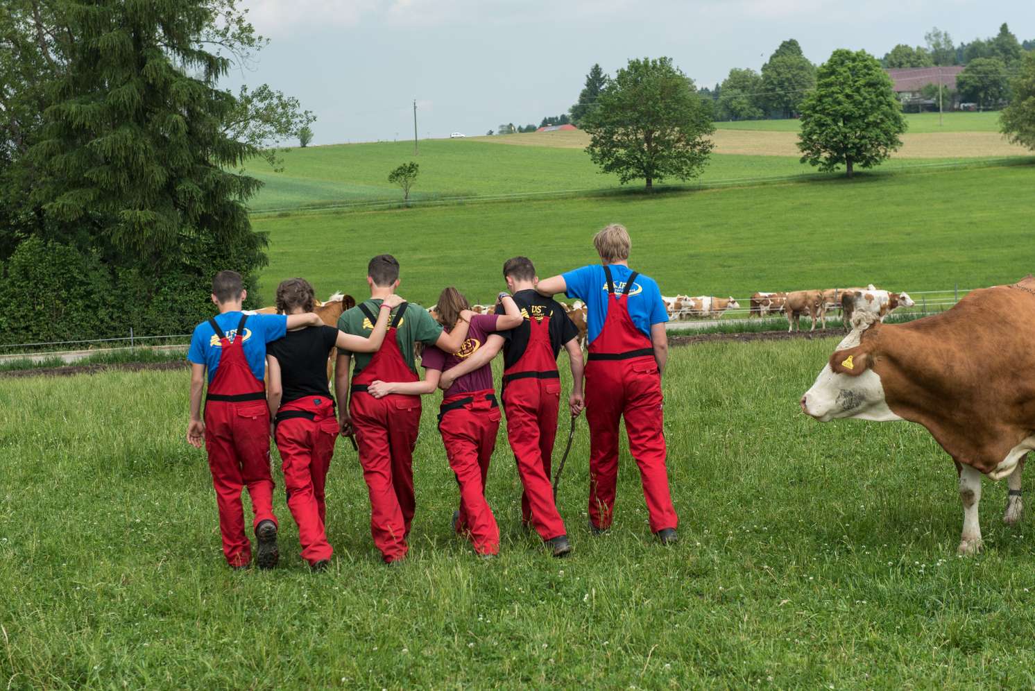 Praktischer Unterricht