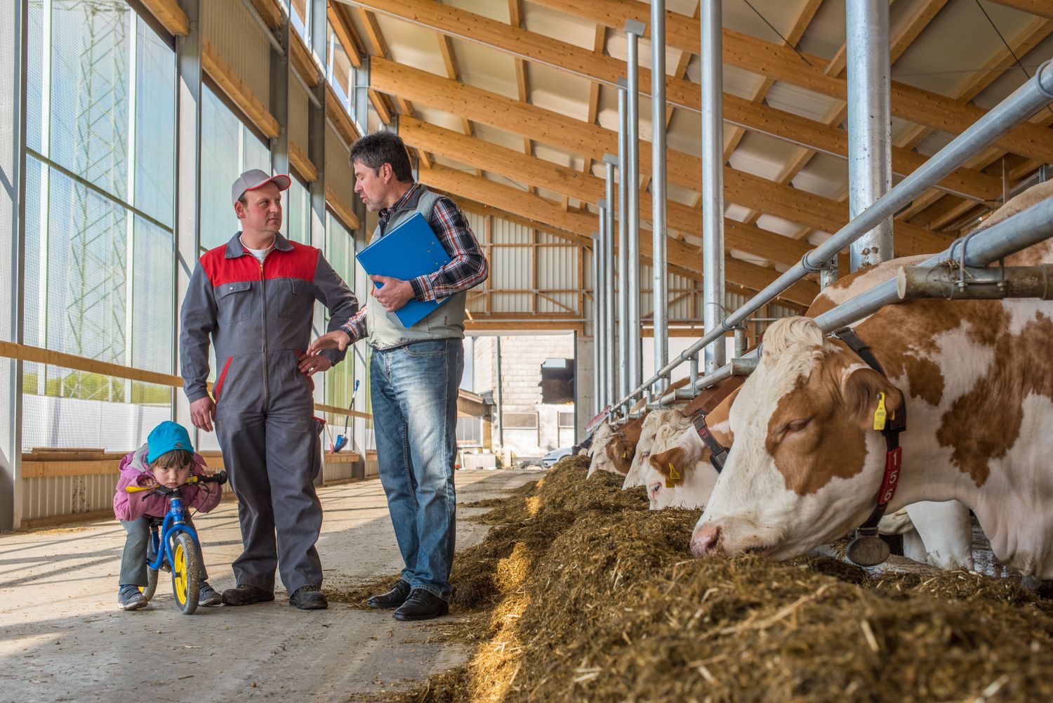Die Industrialisierung von bäuerlichen Familienbetrieben sorgt beispielsweise in Deutschland für enorme landwirtschaftliche Probleme. Tirol hat in dieser Branche hingegen schon früh auf die Klein- und Mittelbetriebe gesetzt.