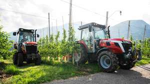 Two red tractors parked among rows of fruit trees in an orchard, with mountains in the background under a cloudy sky.