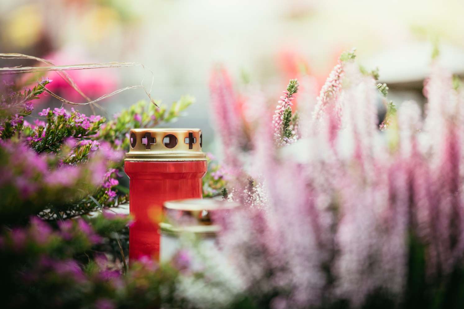 Rote Grabkerze mit goldenem Deckel zwischen blühender rosa Heide und lila Blumen, stimmungsvolle Gedenkstimmung.