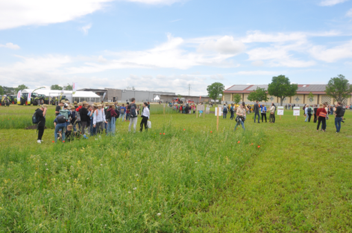 DSC_9599-1-632x420.png