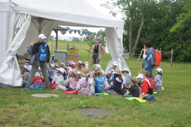 DSC_9512-1-632x420.png