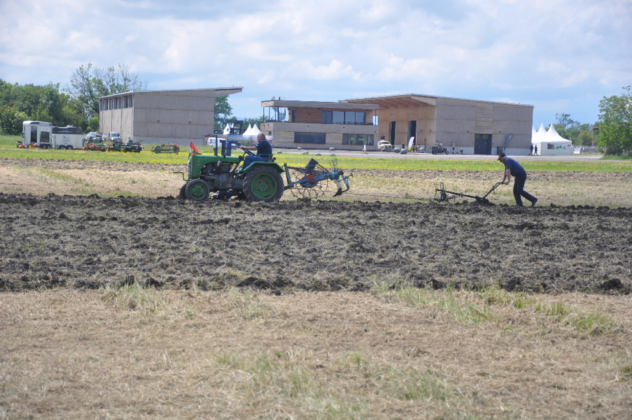DSC_9635-632x420.png