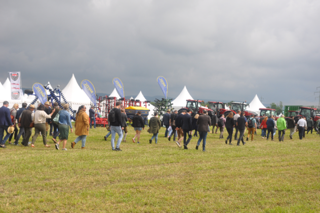 DSC_9551-1-632x420.png