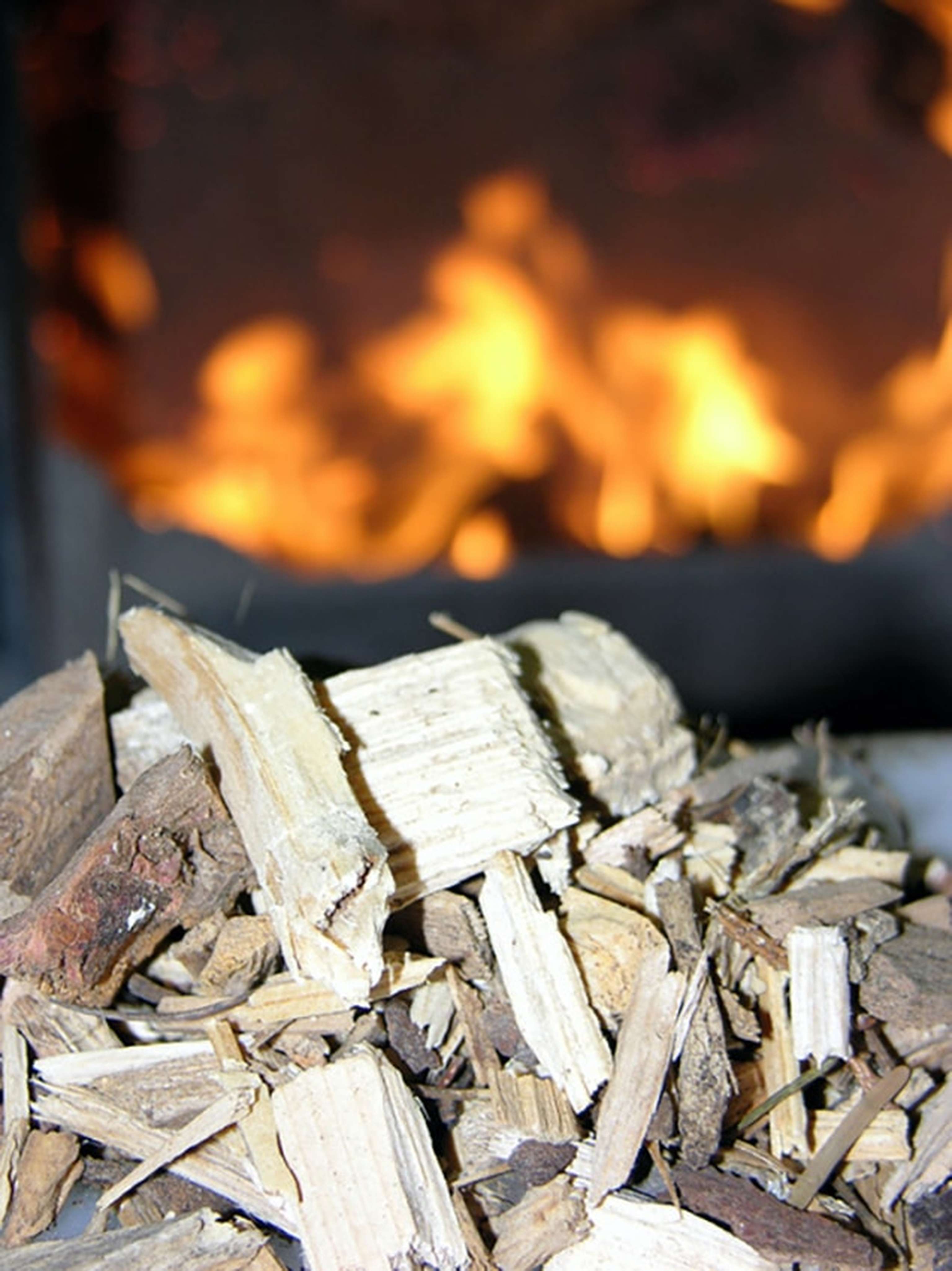 Hackschnitzel Feuer