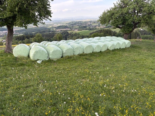 Bild von Anzeige: Biorundballen