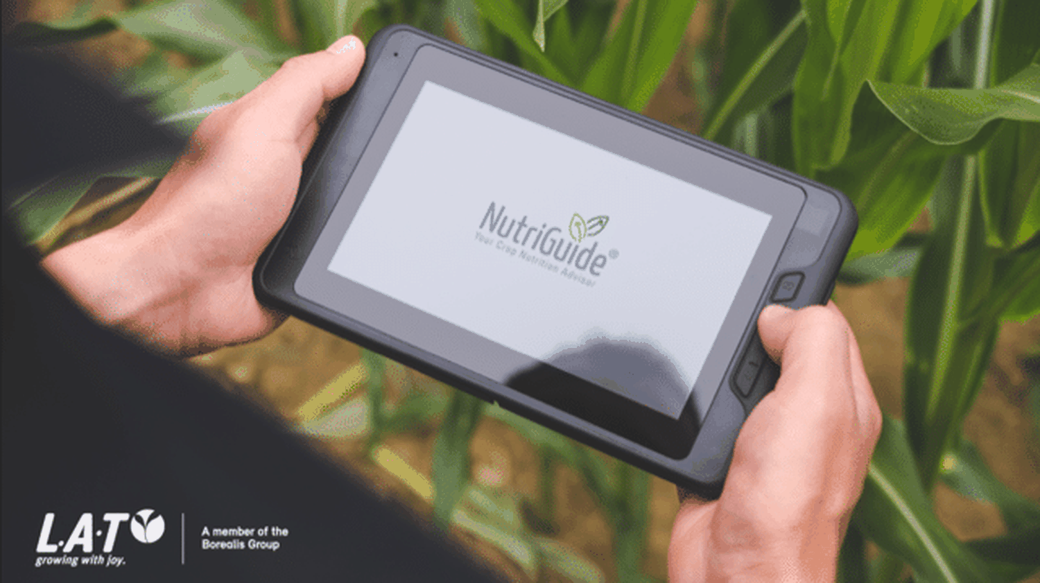 Borealis_Nutriguide_Header_-SEO_article_2021_Sept4.png