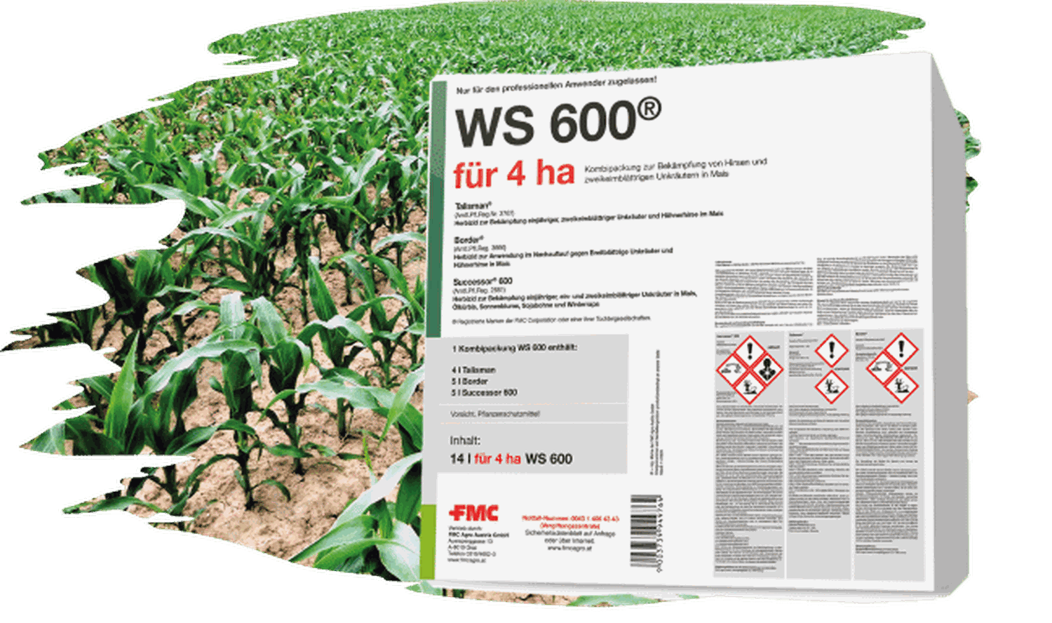 WS_600.png