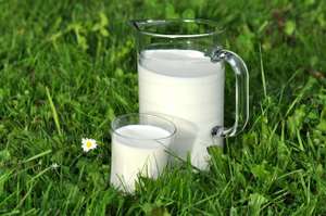 Trinkmilch 10 ID49574 Size650px