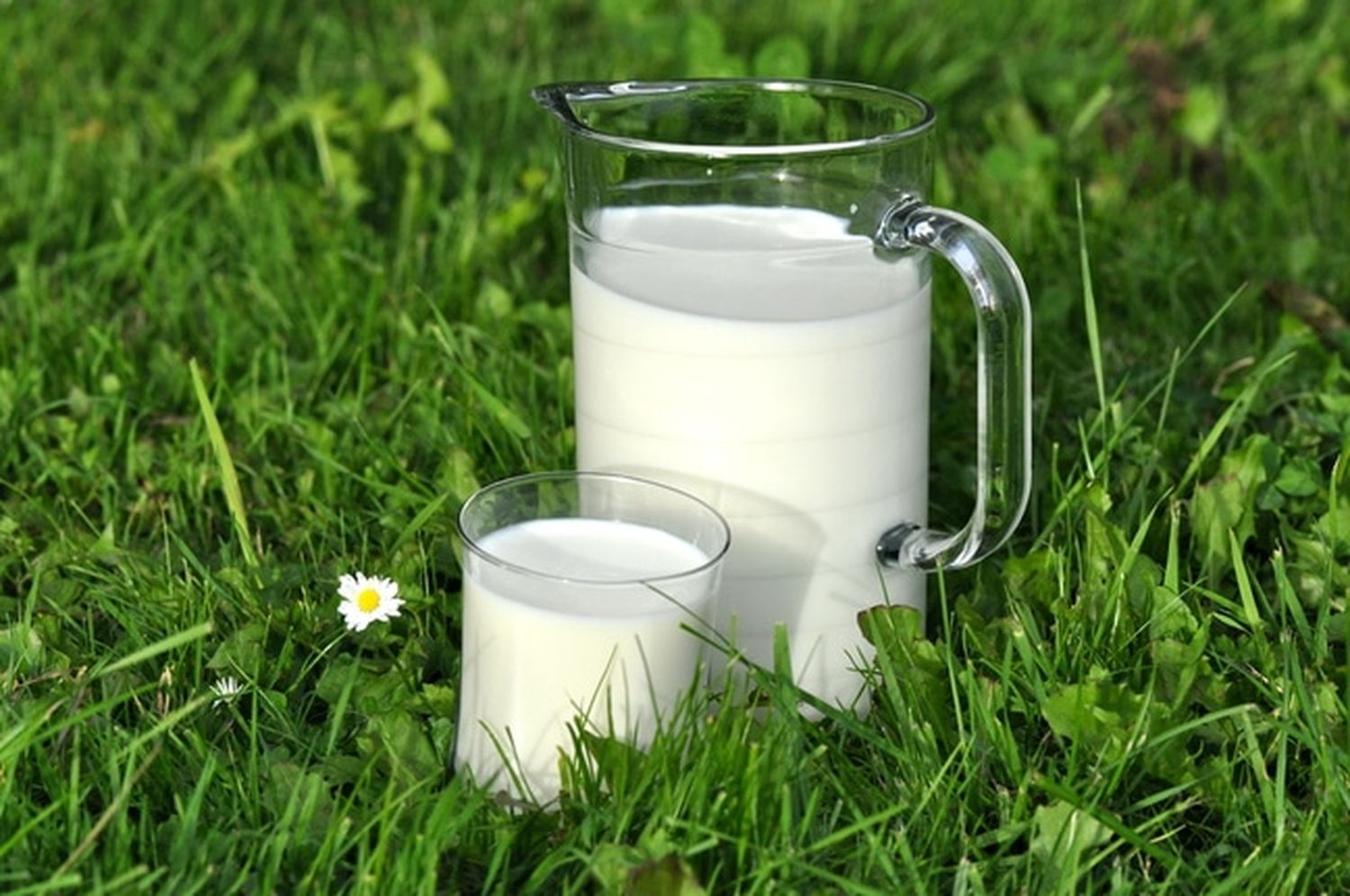 Trinkmilch 10 ID49574 Size650px