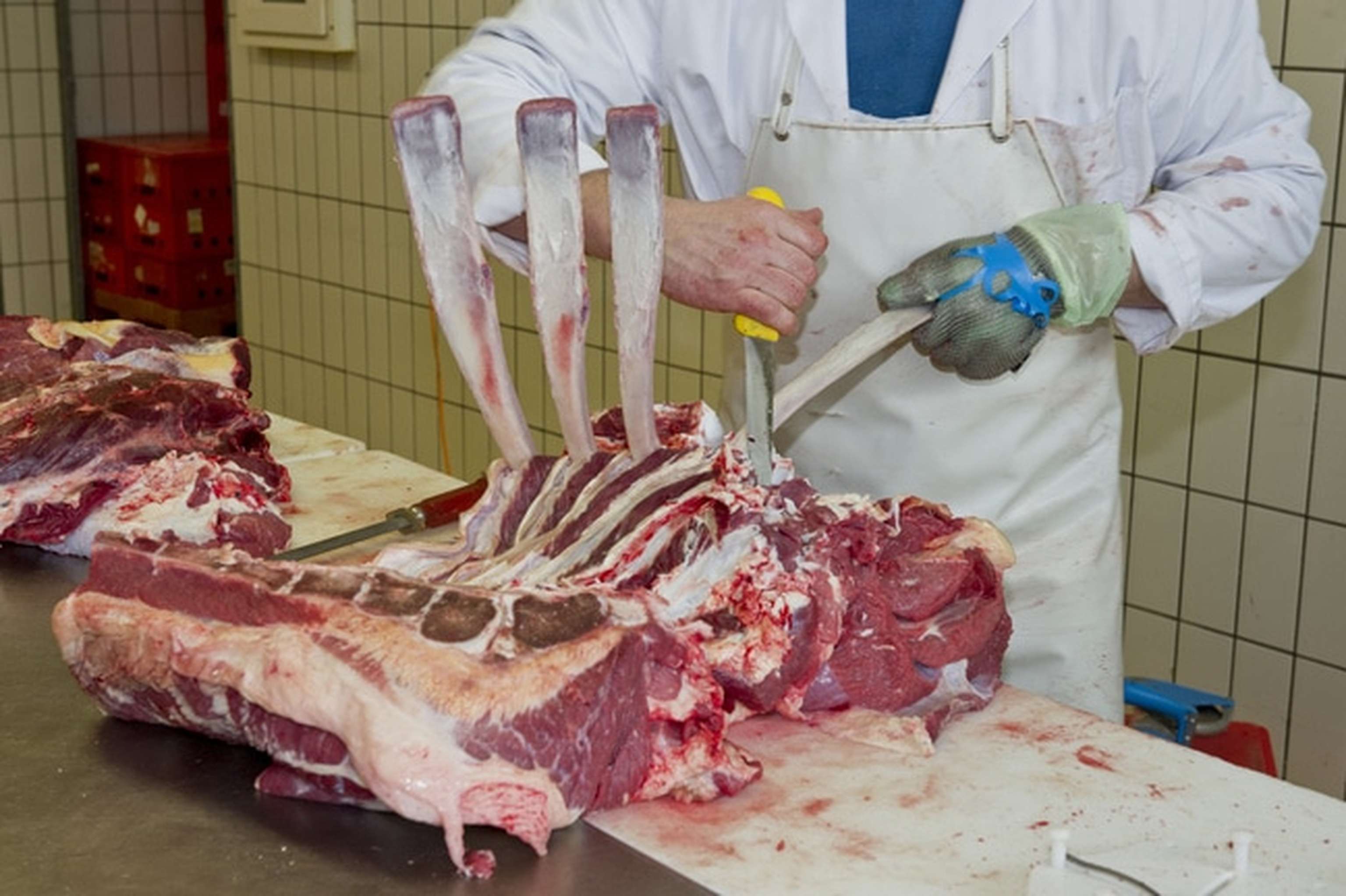 Rind Zerteilen 12 ID54206 Size650px