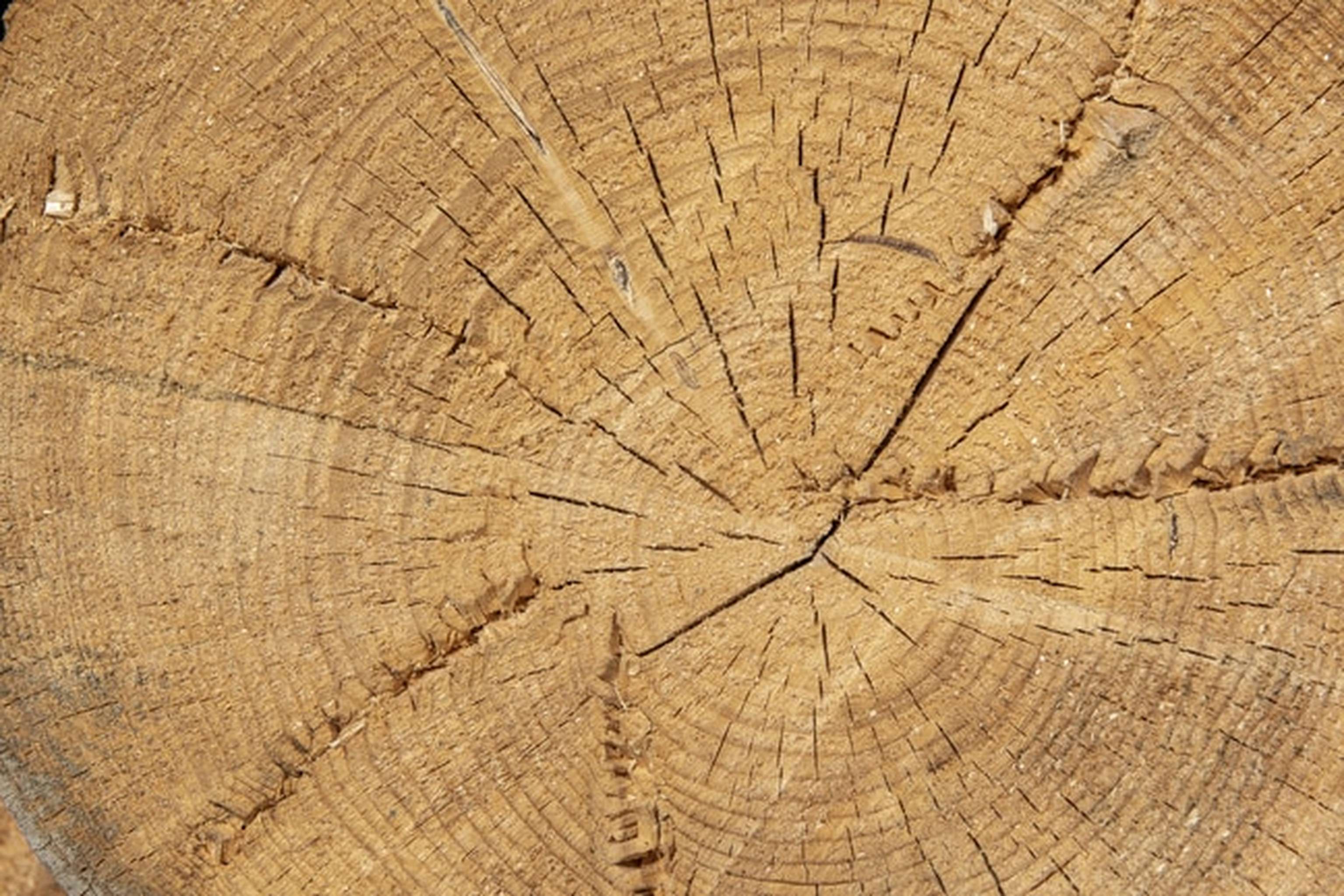 Saegewerk 11 ID90379 Size650px