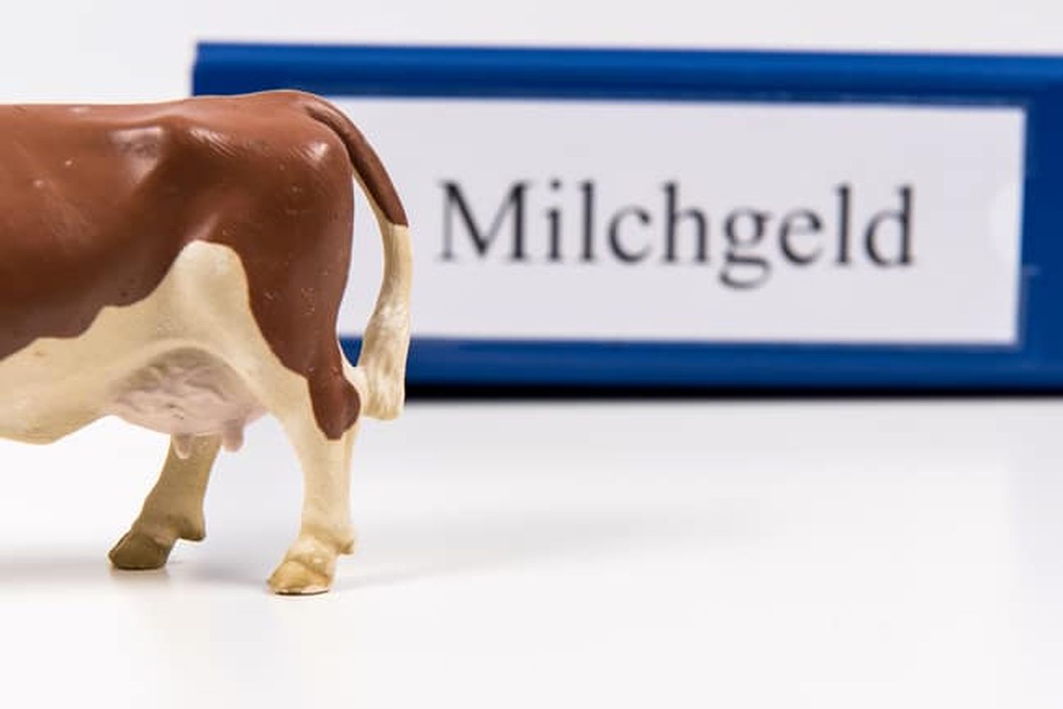 Milchgeldrechnung 20 ID76665 Size650px