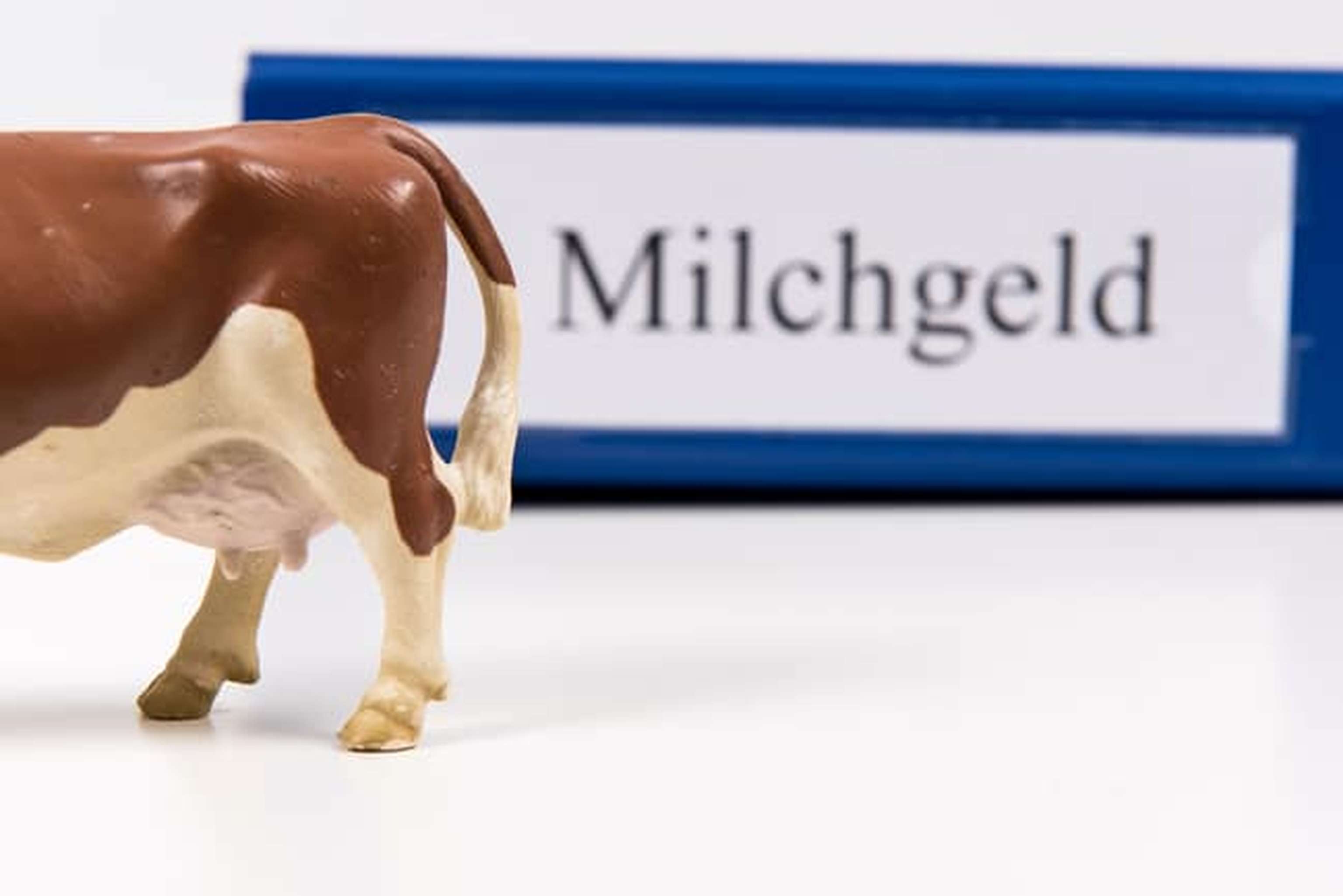 Milchgeldrechnung 20 ID76665 Size650px