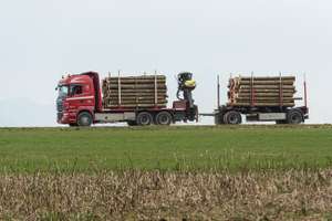 Holztransport Mit LKW 4 ID77265 Size650px
