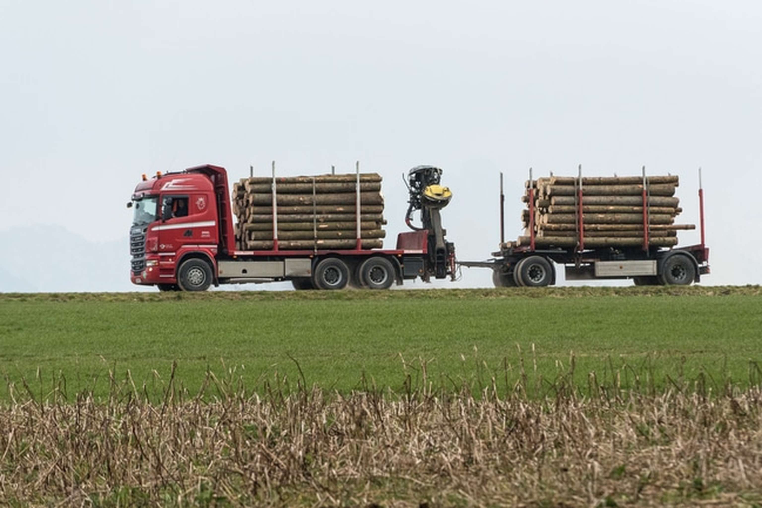 Holztransport Mit LKW 4 ID77265 Size650px