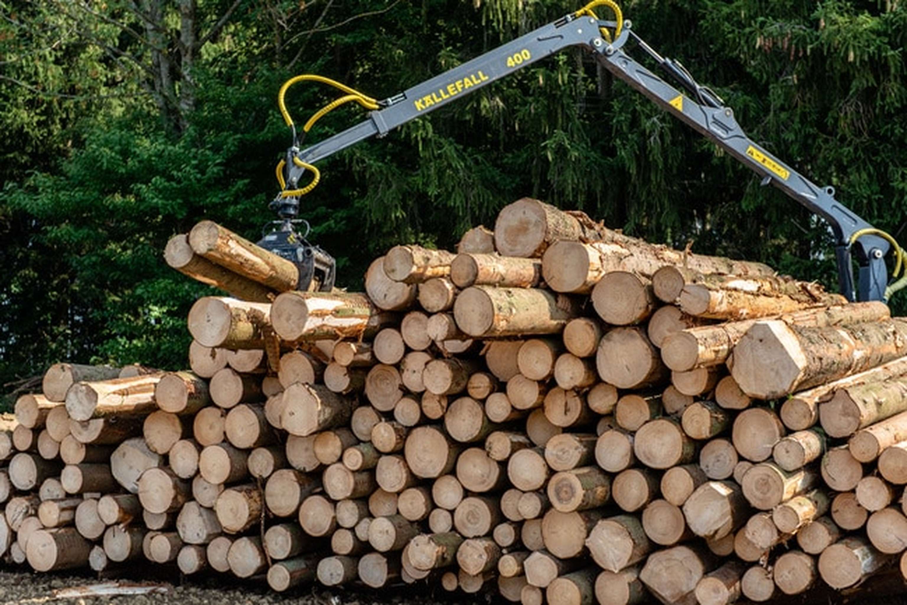 Kaeferholz Aufarbeiten 41 ID88388 Size650px