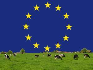 Milchwirtschaft EU ID86473 Size650px