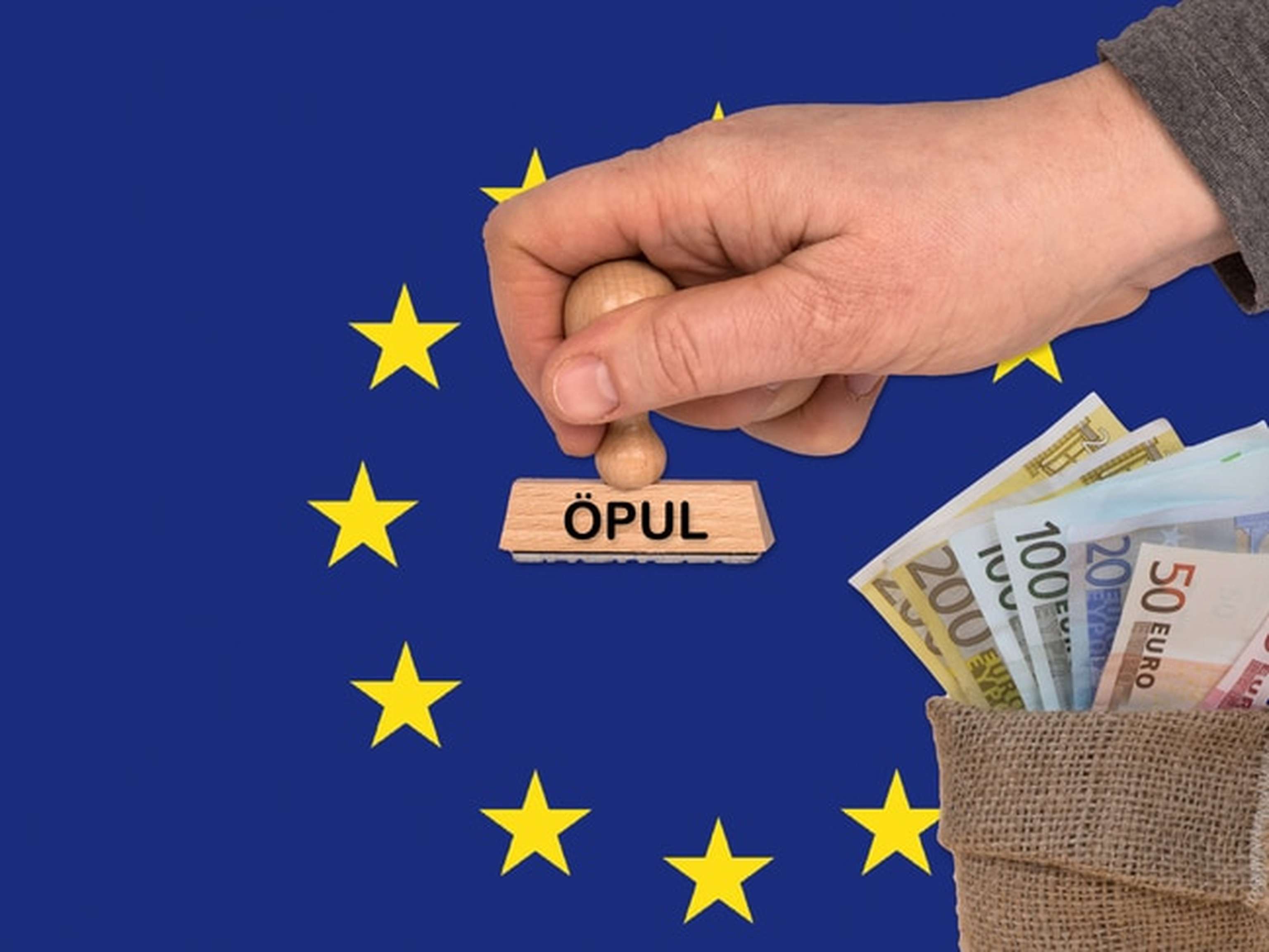 PUL Und EU Flagge ID76852 Size650px