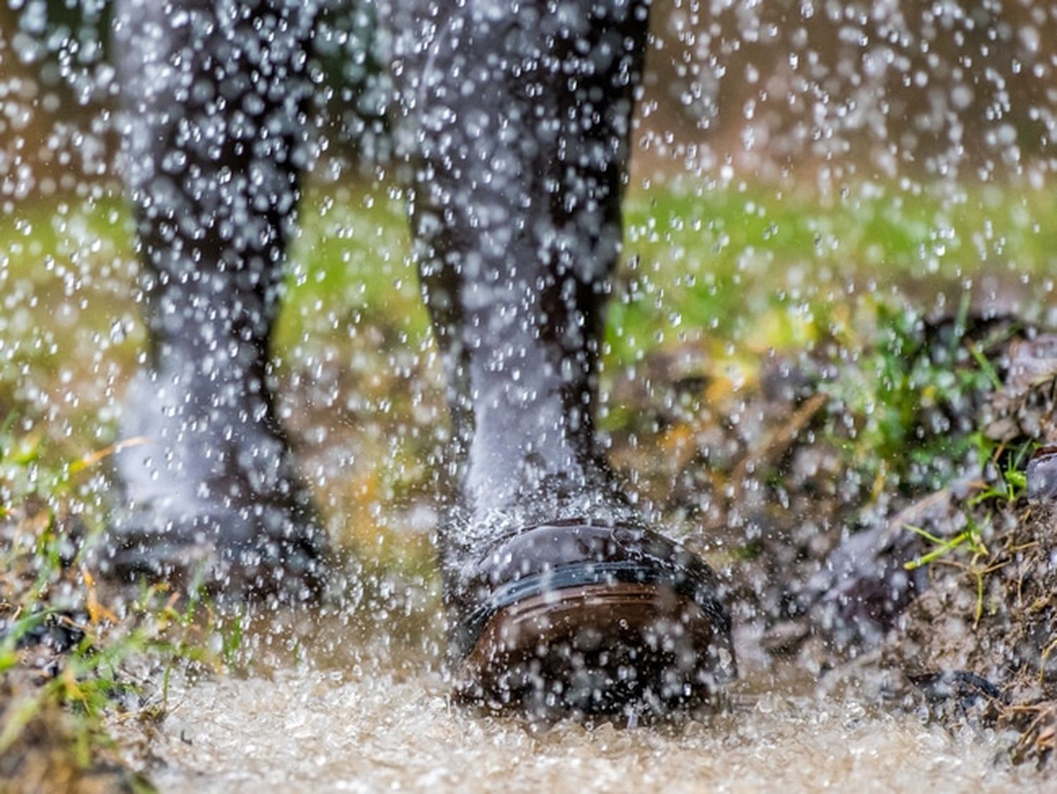 Regenwetter 6 ID77139 Size650px