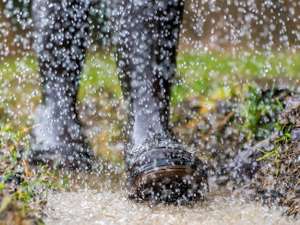 Regenwetter 6 ID77139 Size650px