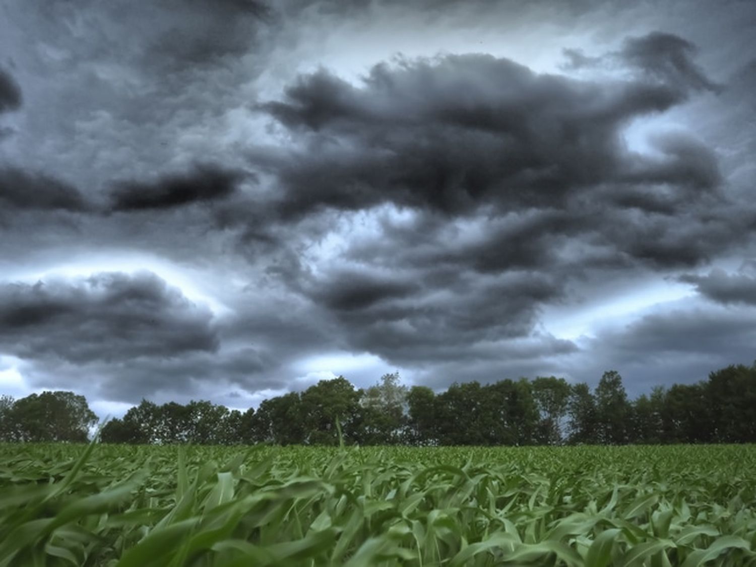 Unwetterextreme sind eine Folge des Klimawandels. FOTO: agrarfoto.com