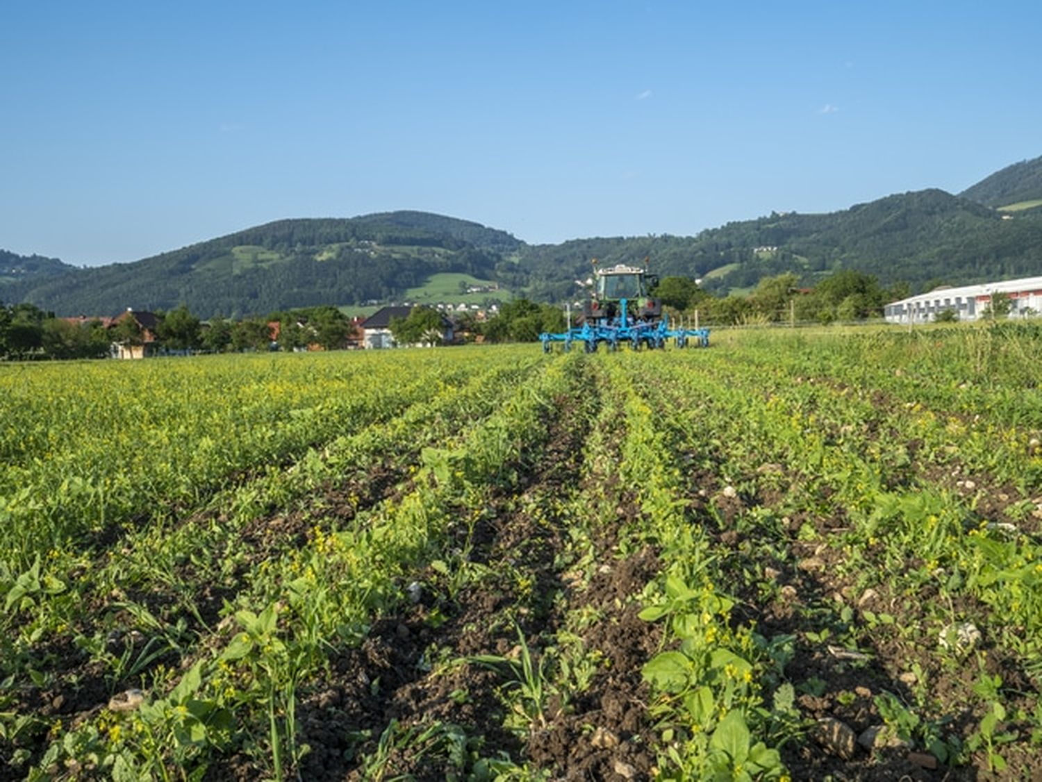 Vorbildliche Landwirtschaft muss belohnt werden. FOTO: agrarfoto.com
