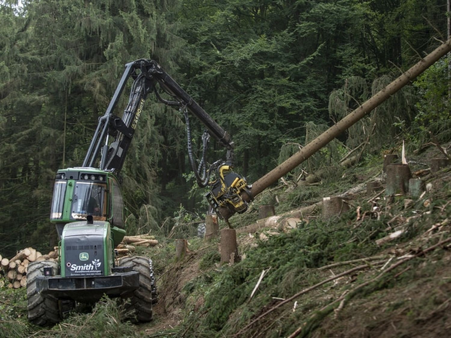 Haftungsängste führen oft zu unnötigen Fällungen. FOTO: agrarfoto.com