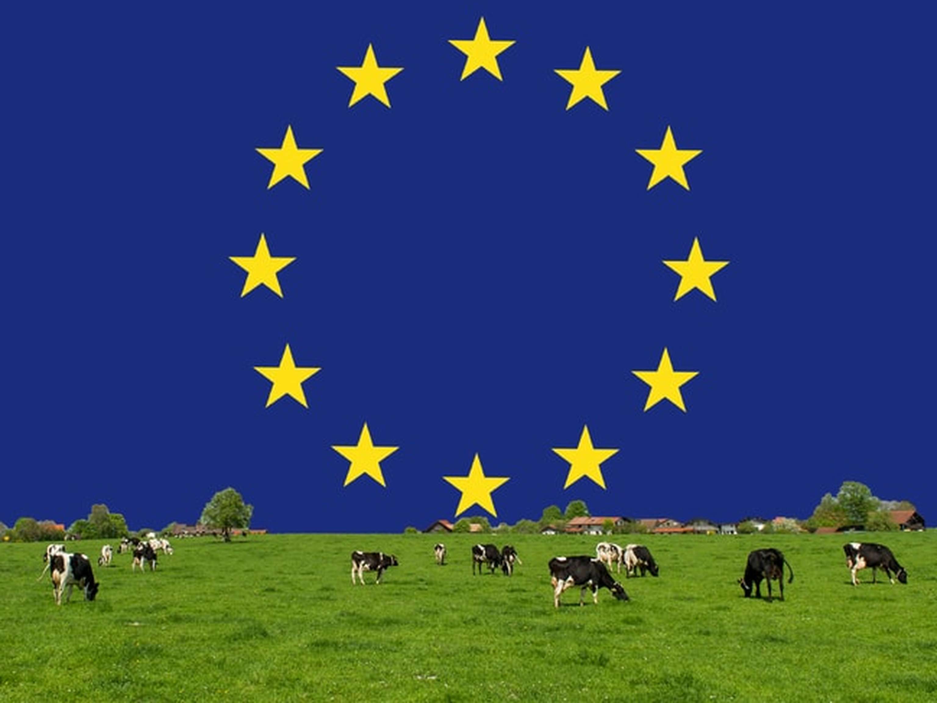 Milchwirtschaft EU ID86473 Size650px