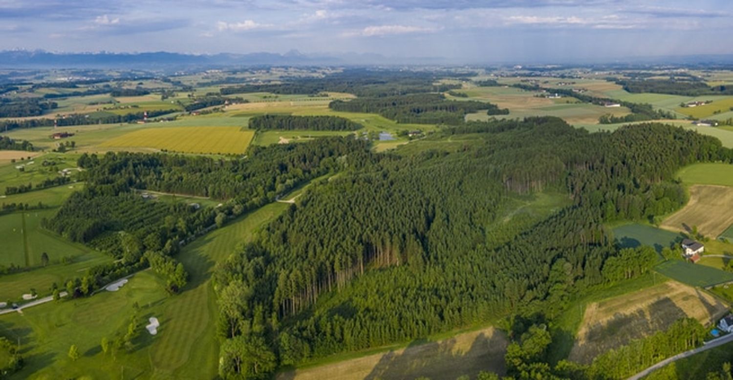 WaldFeldWiesen Landschaft 2 ID90955 Size650px
