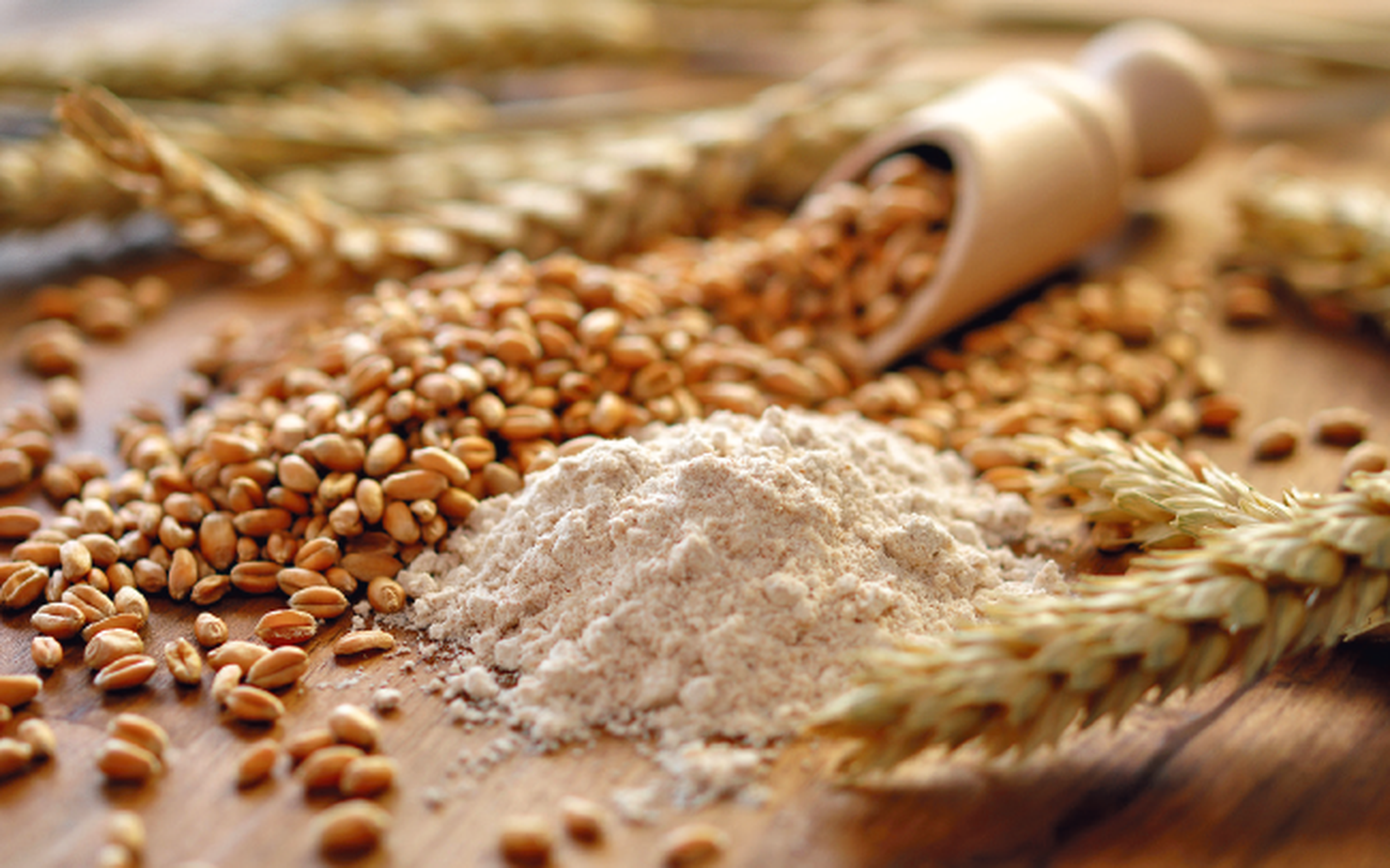 Traditionelles Getreide sowie mögliche Alternativen standen im Fokus der Tagung.