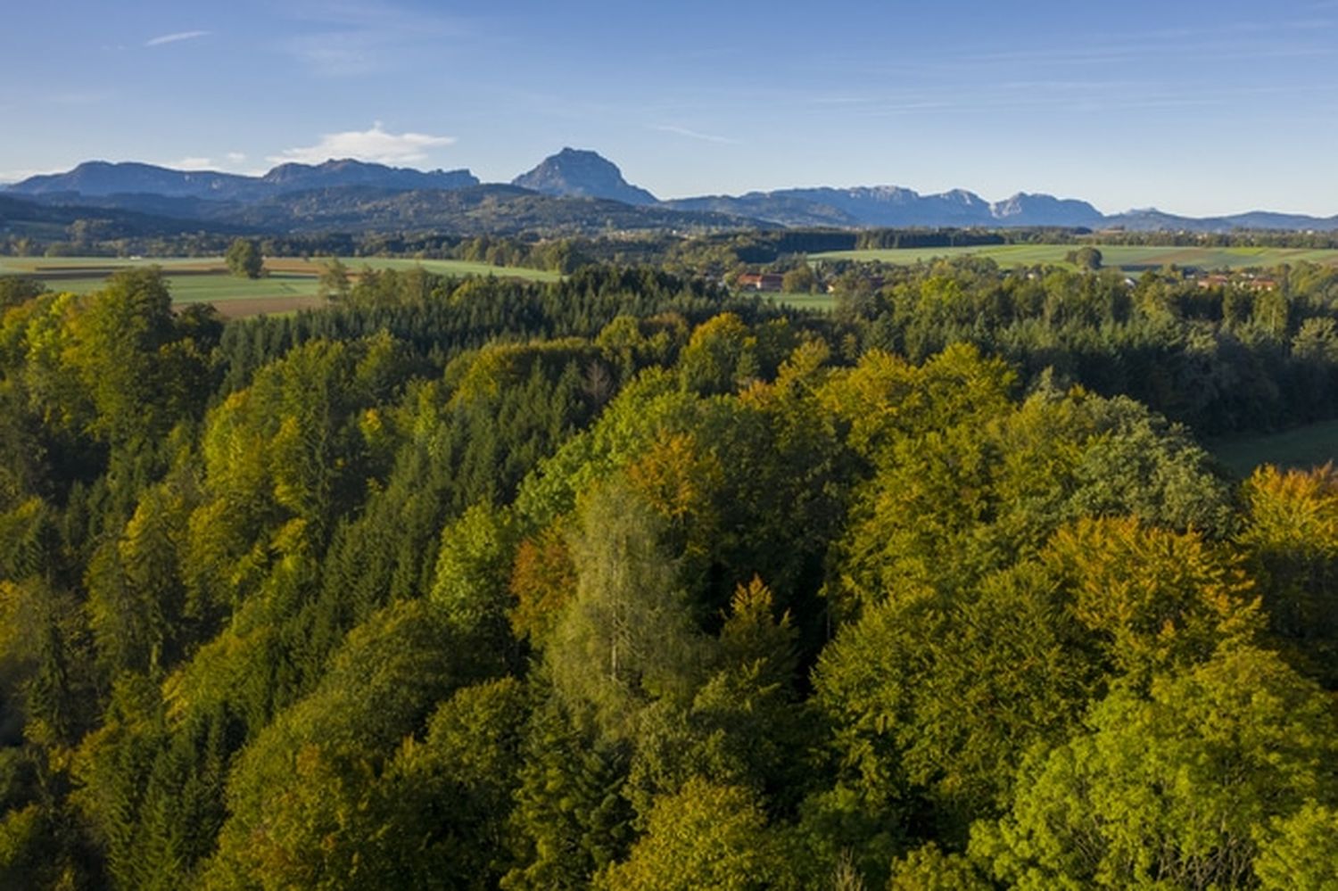 In Zeiten wie diesen spielt der Wald als Erholungsort eine ganz besonders wichtige Rolle. FOTO: agrarfoto.com