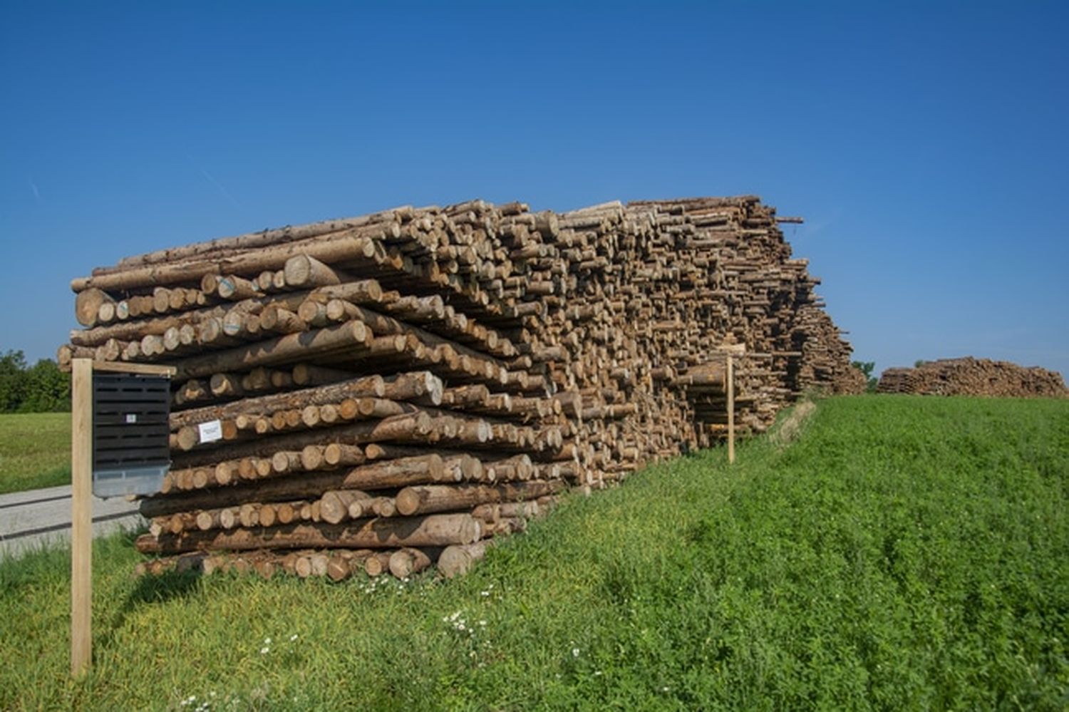 200.000 Festmeter Schadholz werden zusätzlich bis Ende Mai abgenommen. FOTO: agrarfoto.com