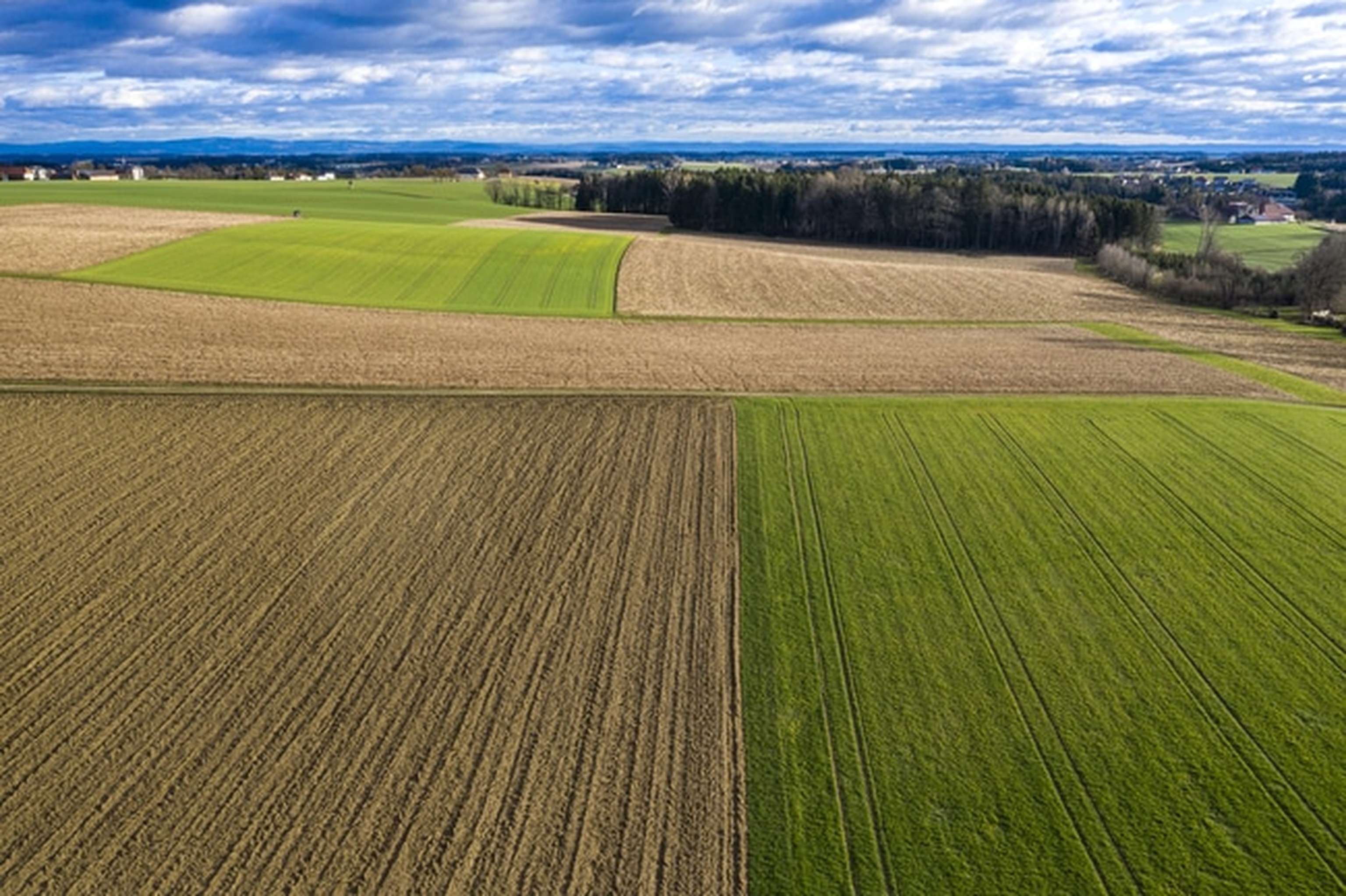 Kulturland Im Maerz 2 ID92618 Size650px