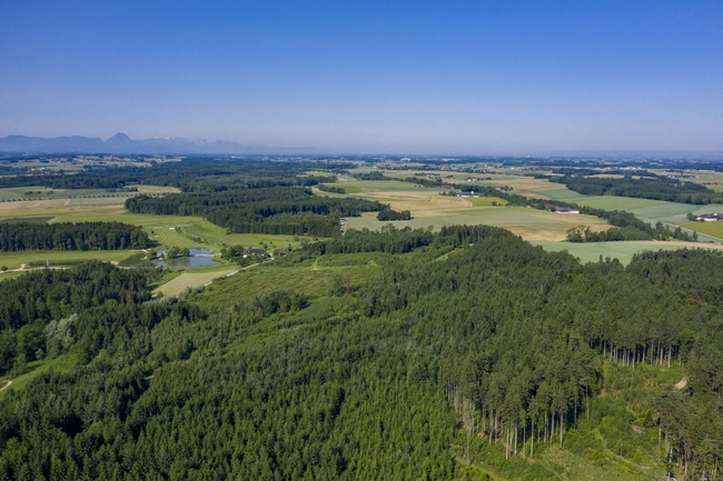WaldFeldWiesen Landschaft 1 ID90952 Size650px